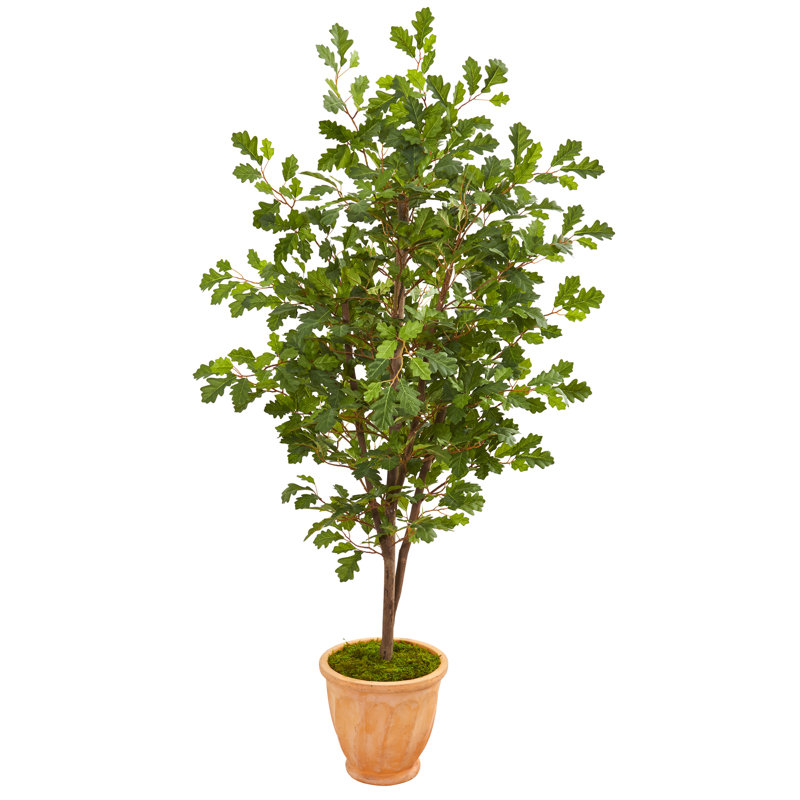 Alcott Hill® Artificial Oak Tree in Pot Wayfair